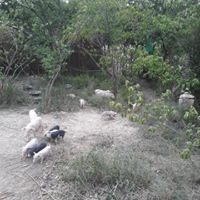 80235936_2923813147630327_7270726260228096000_n