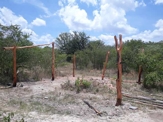 81410031_2965903253421316_5699882675121160192_n